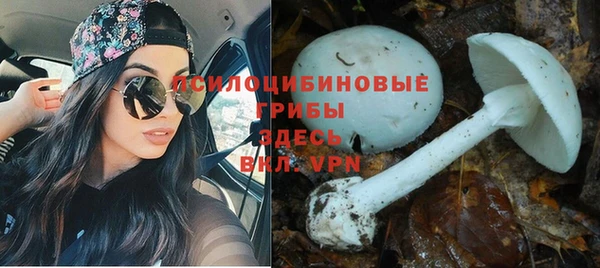 таблы Магас