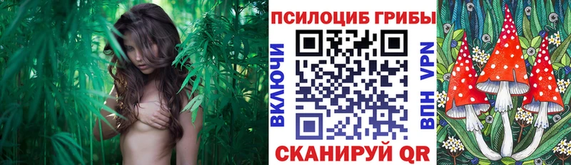 Галлюциногенные грибы мухоморы  купить закладку  Староминская 